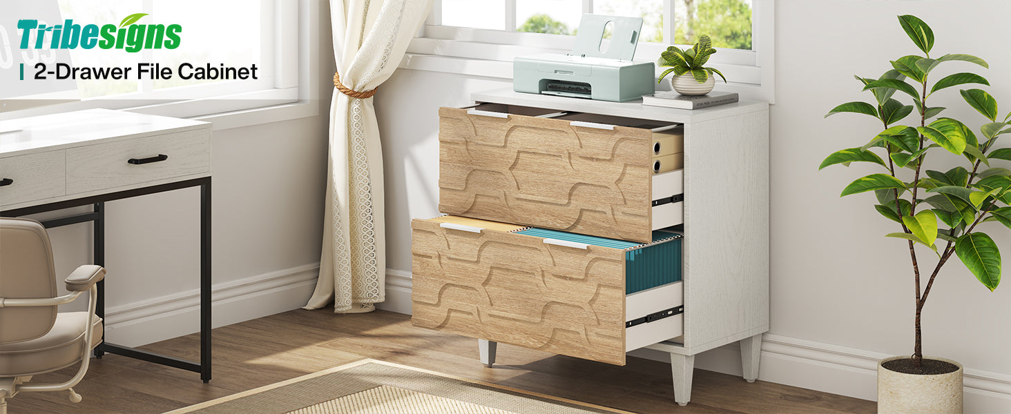 Wood File Cabinet, 2-Drawer Storage Cabinet for A4/Letter/Legal Size